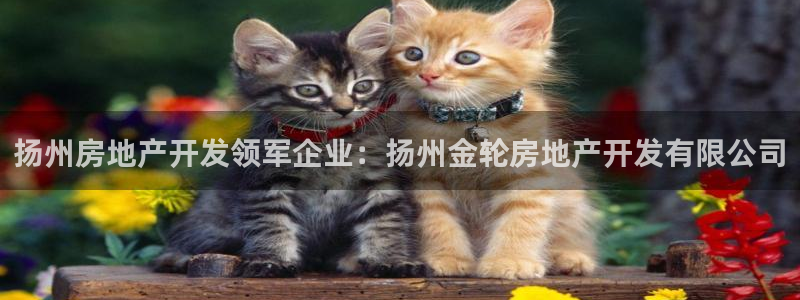 万向娱乐官网下载安装手机版