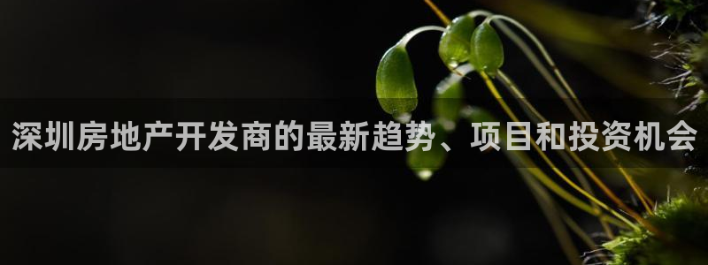 万向娱乐官网网址是什么
