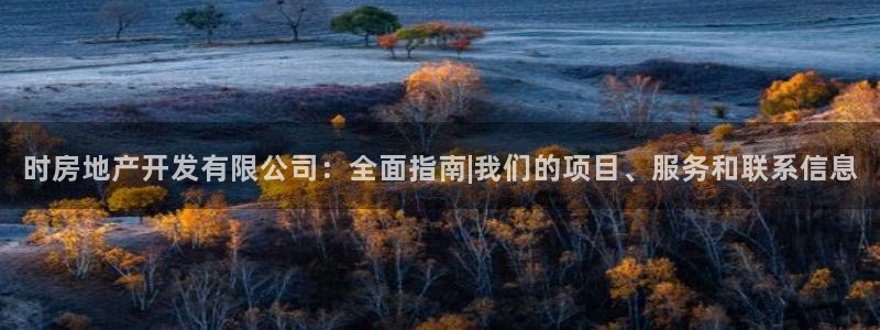 万象游戏代理