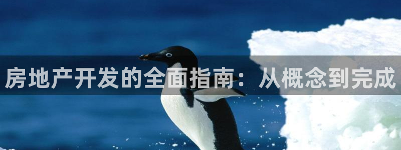 万向娱乐灯333OO