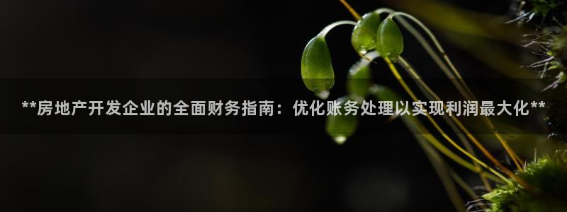 万向娱乐老板