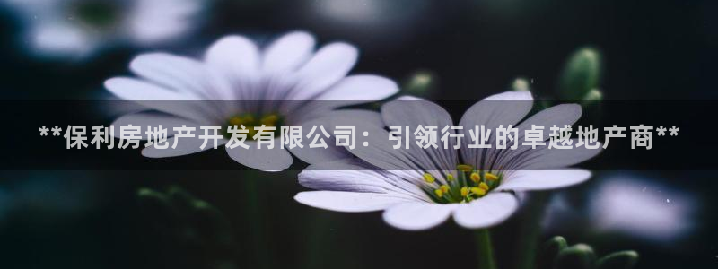 万向娱乐平台代理怎么做的