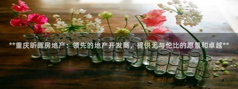 万向娱乐的联系方式有哪些