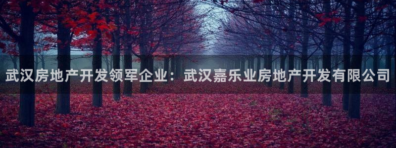 万向娱乐平台代理怎么样可靠吗