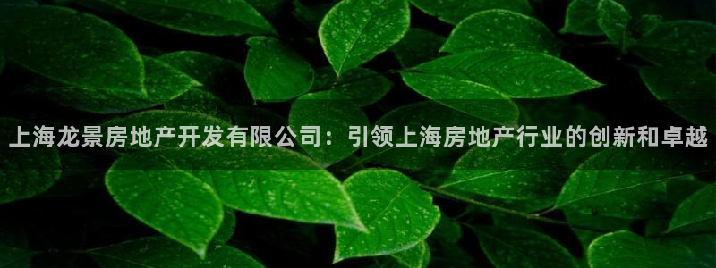万向娱乐王者荣耀