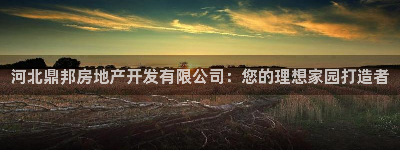 万向娱乐