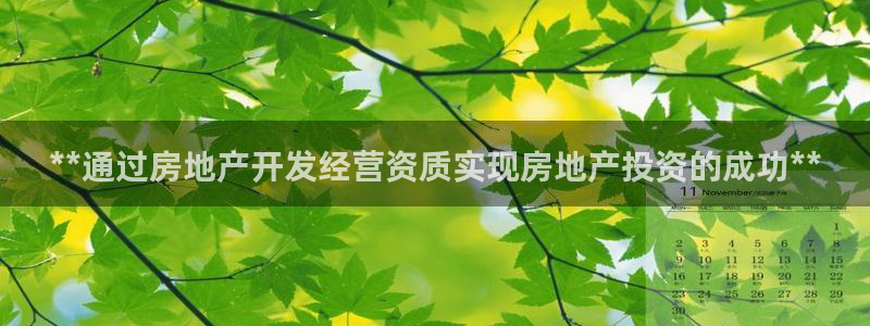 万向娱乐公司 585.34I 娱乐