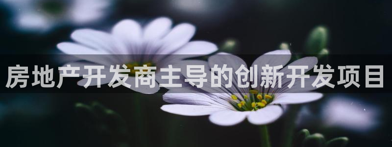 万向娱乐平台代理多少钱