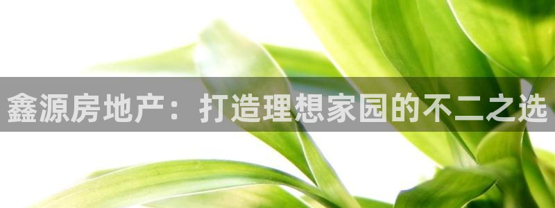 万向娱乐平台代理多少钱一年