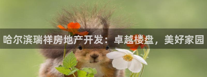 万向娱乐的联系方式