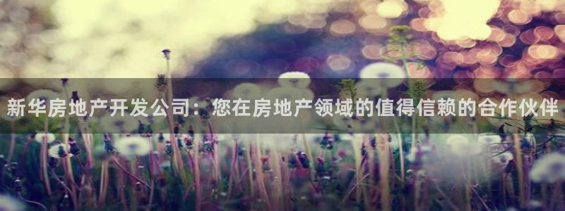万向娱乐下载