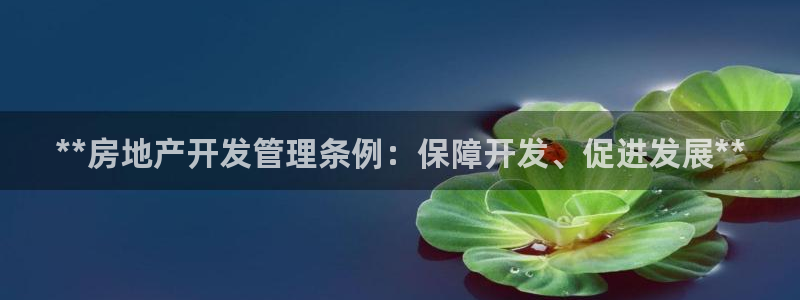 万向娱乐王者荣耀