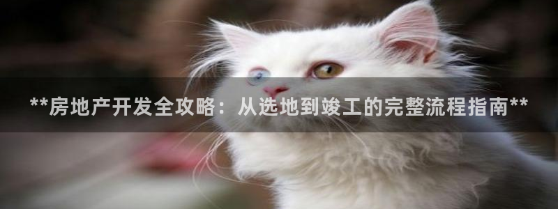 万向娱乐平台好不