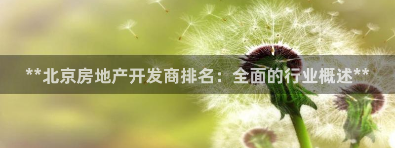 万向娱乐是野鸡台吗