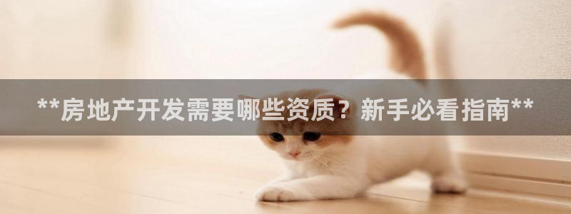 万向娱乐的494o3 主管