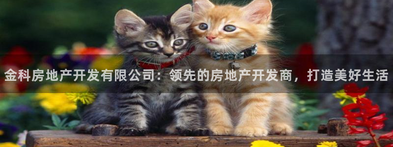 万向娱乐