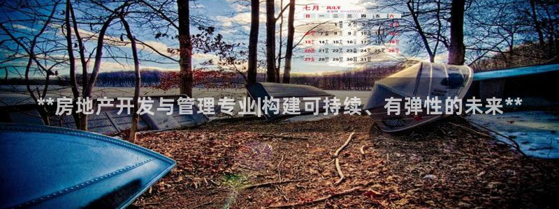 万向娱乐挂机软件