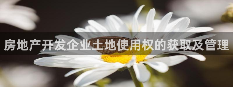万向娱乐官网网址是多少
