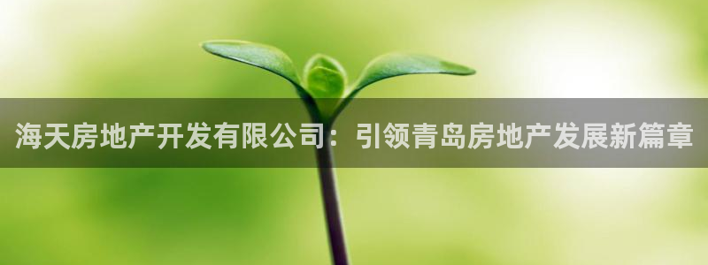 万向娱乐平台代理多少钱一年