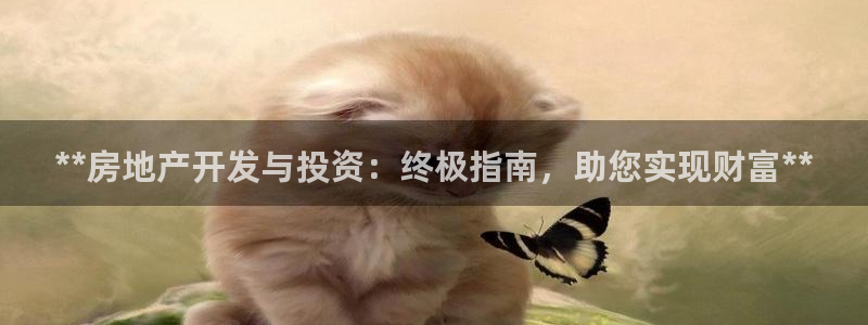 万向娱乐公司 585.34I 娱乐