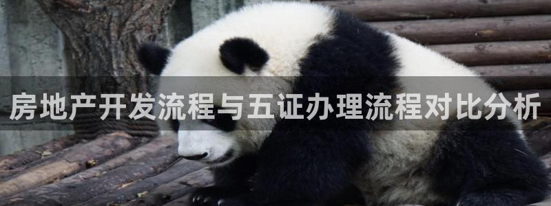 万向娱乐平台代理怎么样赚钱