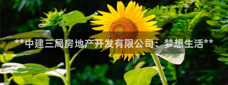 万向娱乐王者荣耀
