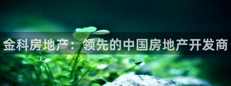 万向娱乐公司 585.34I 娱乐