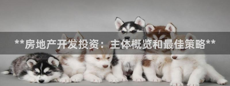 万能娱乐代理网址