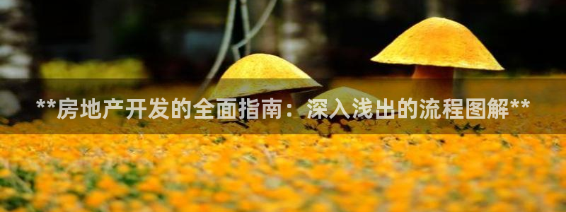 万向娱乐平台代理多少钱