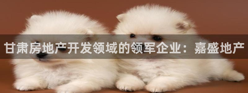 万向娱乐招商