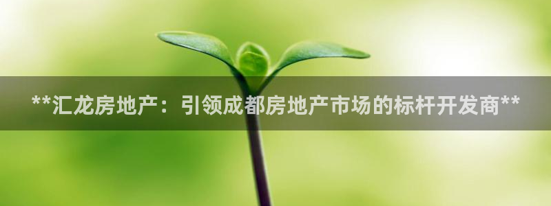 万向娱乐平台代理多少钱