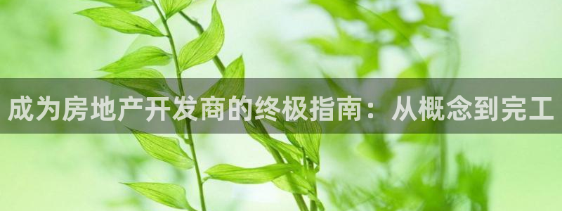 万向娱乐老板