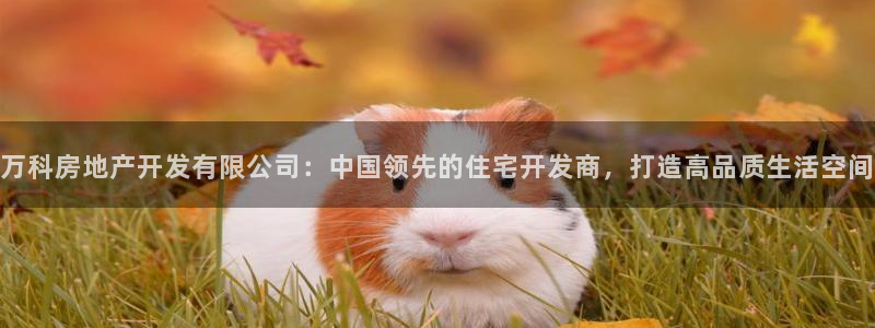 万向娱乐平台代理怎么做