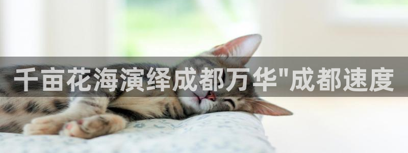 万向娱乐平台招商骗局