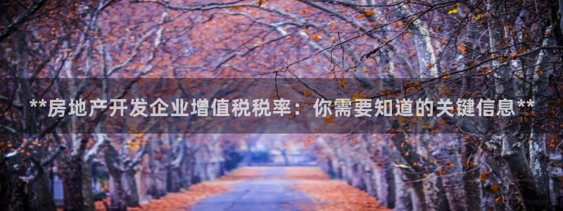 万向娱乐官网下载安装最新版