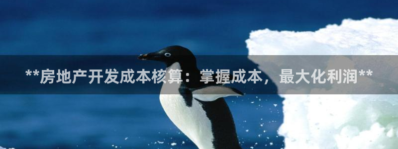 万向娱乐挂机软件