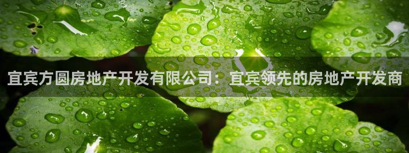 万向娱乐登陆官网入口