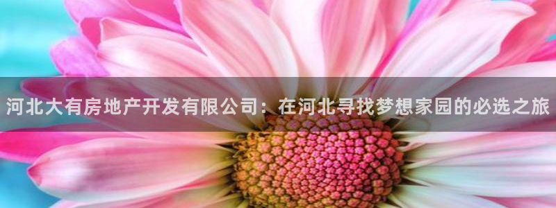 万向娱乐官网网址是什么