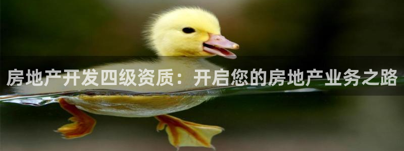 万向娱乐公司 585.34I 娱乐