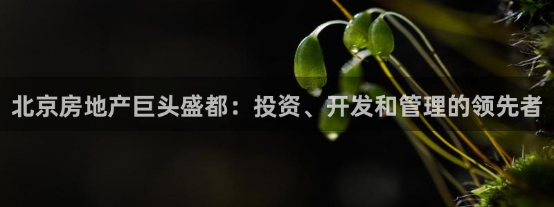 万向娱乐官网