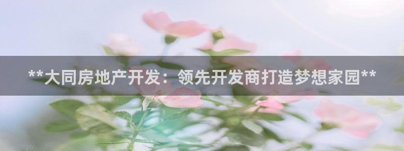 万向娱乐app