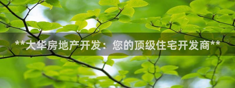万象游戏代理