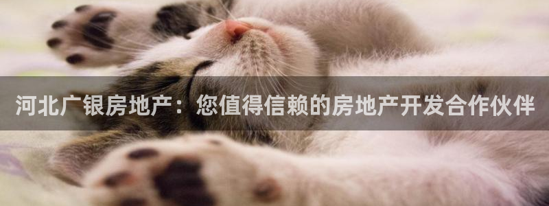 万向娱乐平台招商骗局