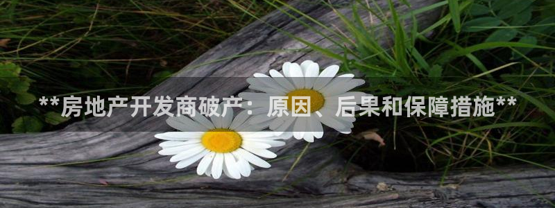 万向娱乐app下载安装