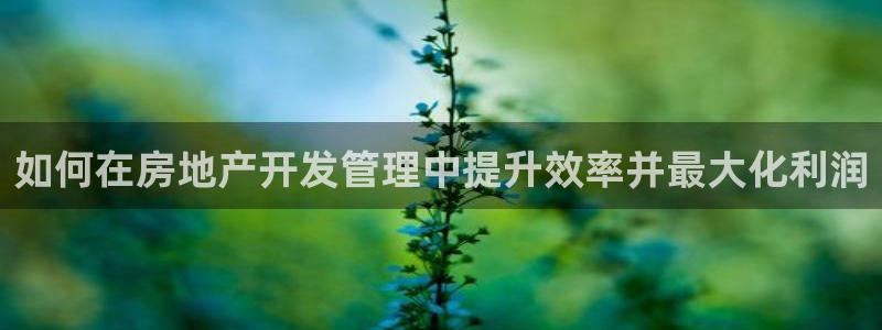 万向娱乐灯333OO