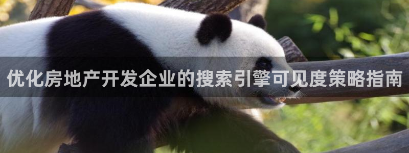 万向娱乐平台怎么下载