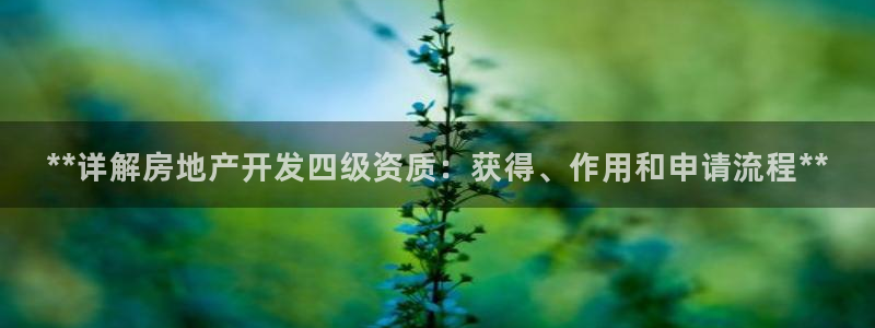 万向娱乐下载安装