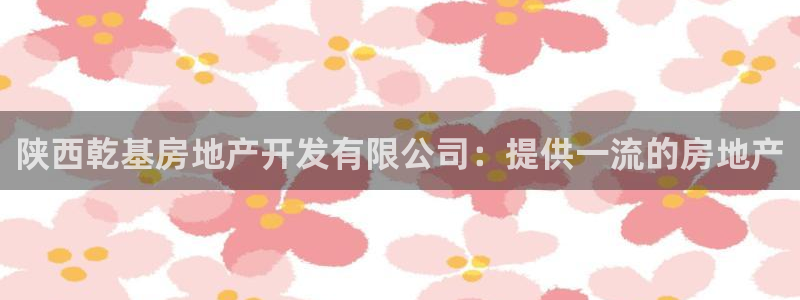 万向娱乐老板