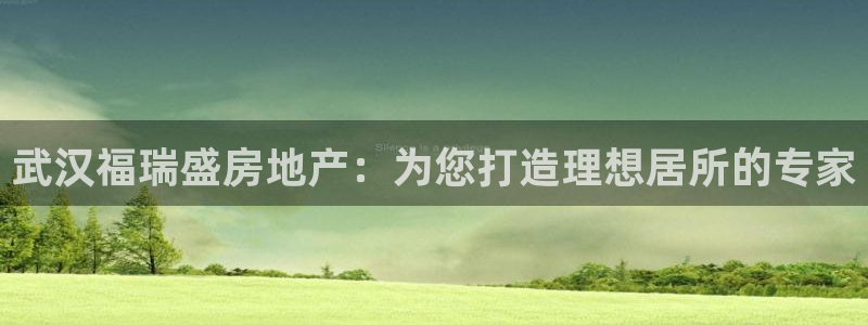万向娱乐