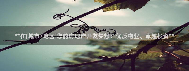 万向娱乐挂机